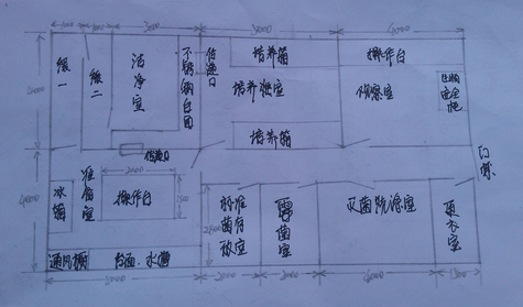 潔凈實(shí)驗(yàn)室平面布局圖